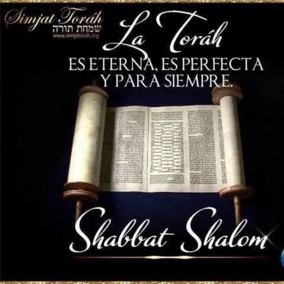 Meet your Posher, Adriel - Picture 1 of 1